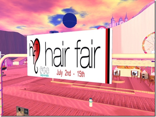 2011 Hair fair_002